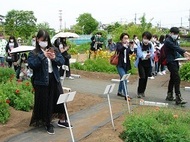 薬用植物園見学