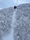 【はりきゅうマッサージ治療室だより】雪山レポート