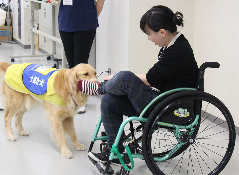 介助犬デモ-靴下