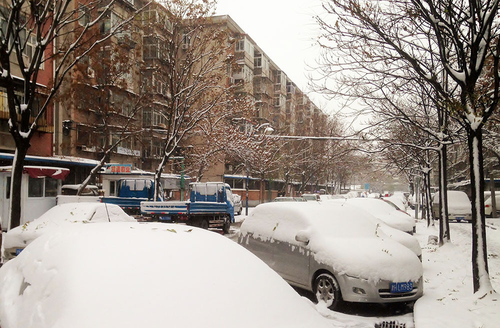 天津の初雪