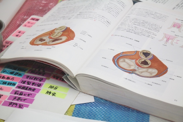 ブタの内臓解剖実習(教科書)