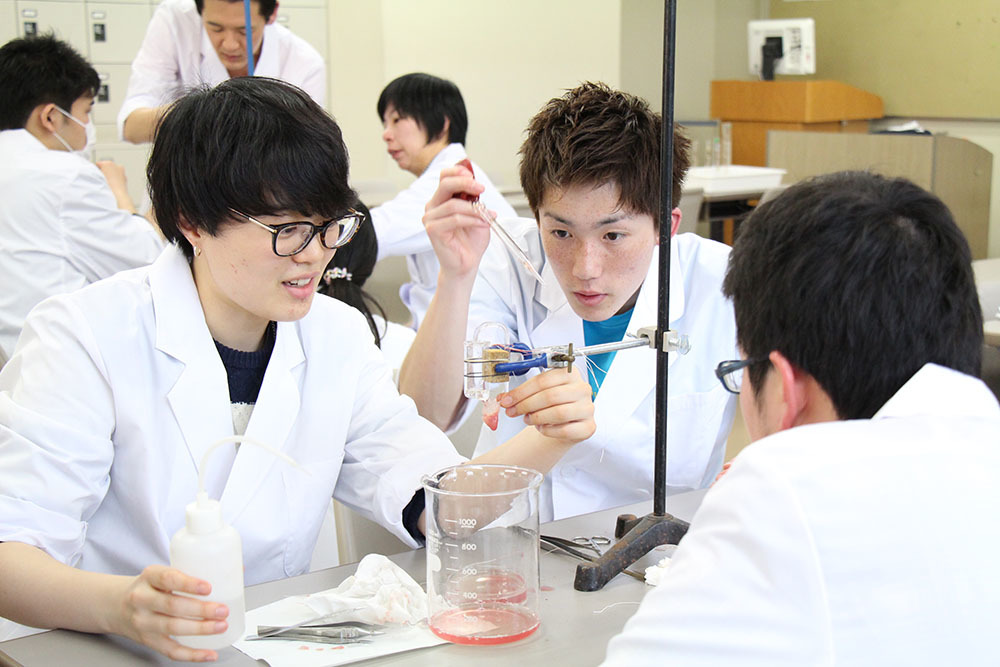 理学療法士 大学 専門学校-雰囲気