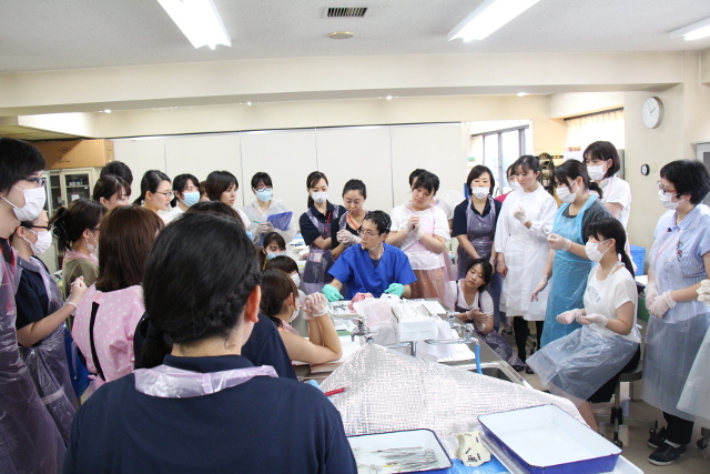 解剖学3