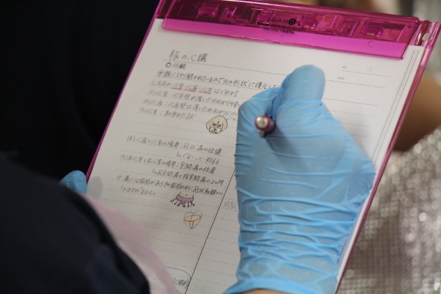解剖学2