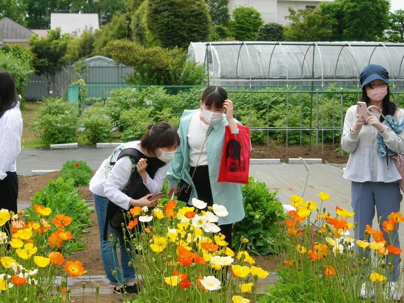 薬用植物園見学1