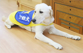 s_fes_mainimg06.jpg