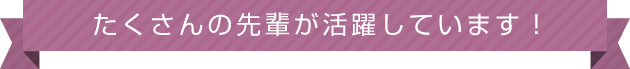 たくさんの先輩が活躍しています！