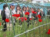 140605薬用植物園2