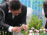 140605薬用植物園3