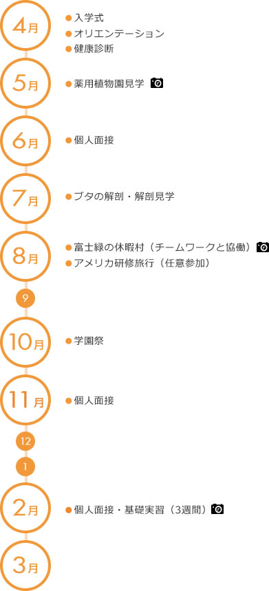 figure02.jpg