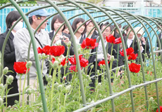 photo01.jpg